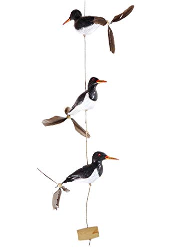 Austernfischer-Windspiel mit Feder Propeller, Austernfischer