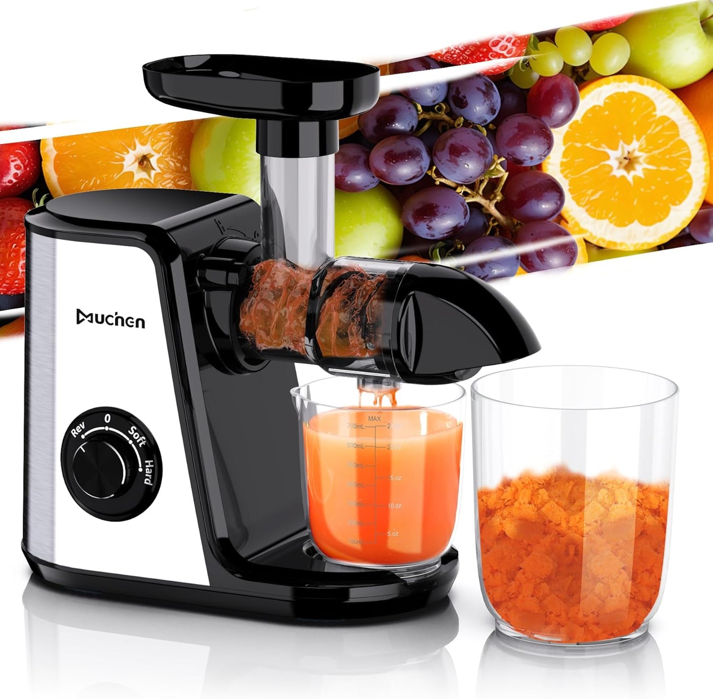 Slow Juicer Entsafter mit Rückwärtsfunktion, Single