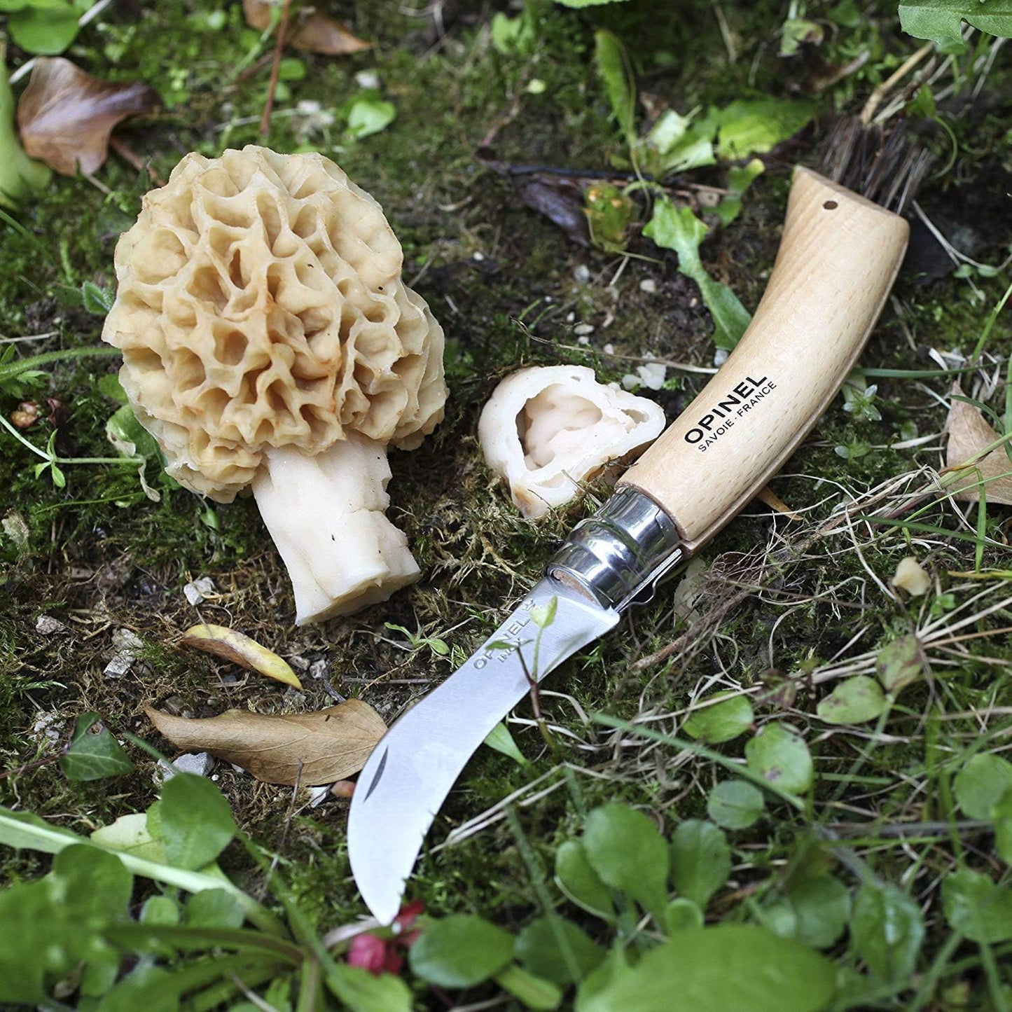 Pilzmesser mit Etui