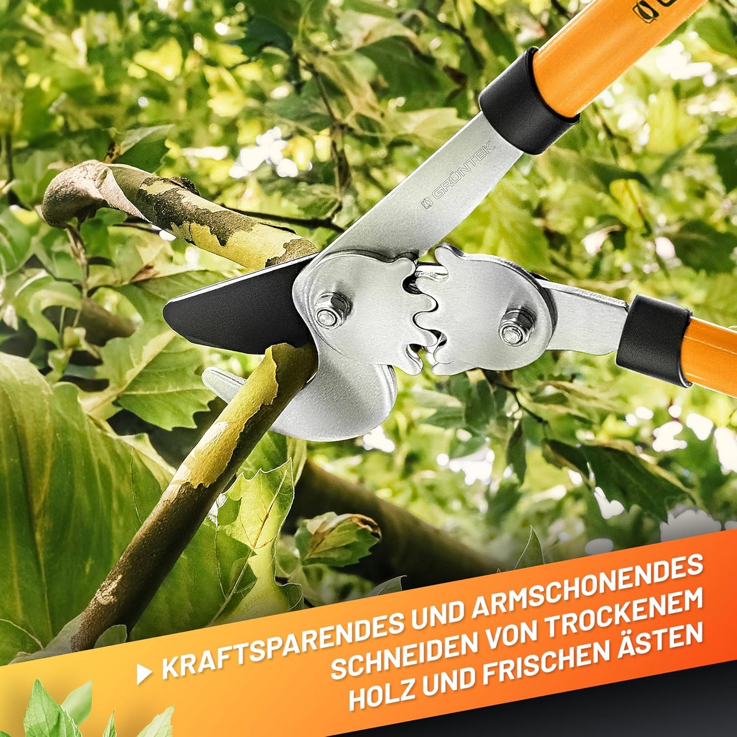 T-REX Bypass-Astschere
