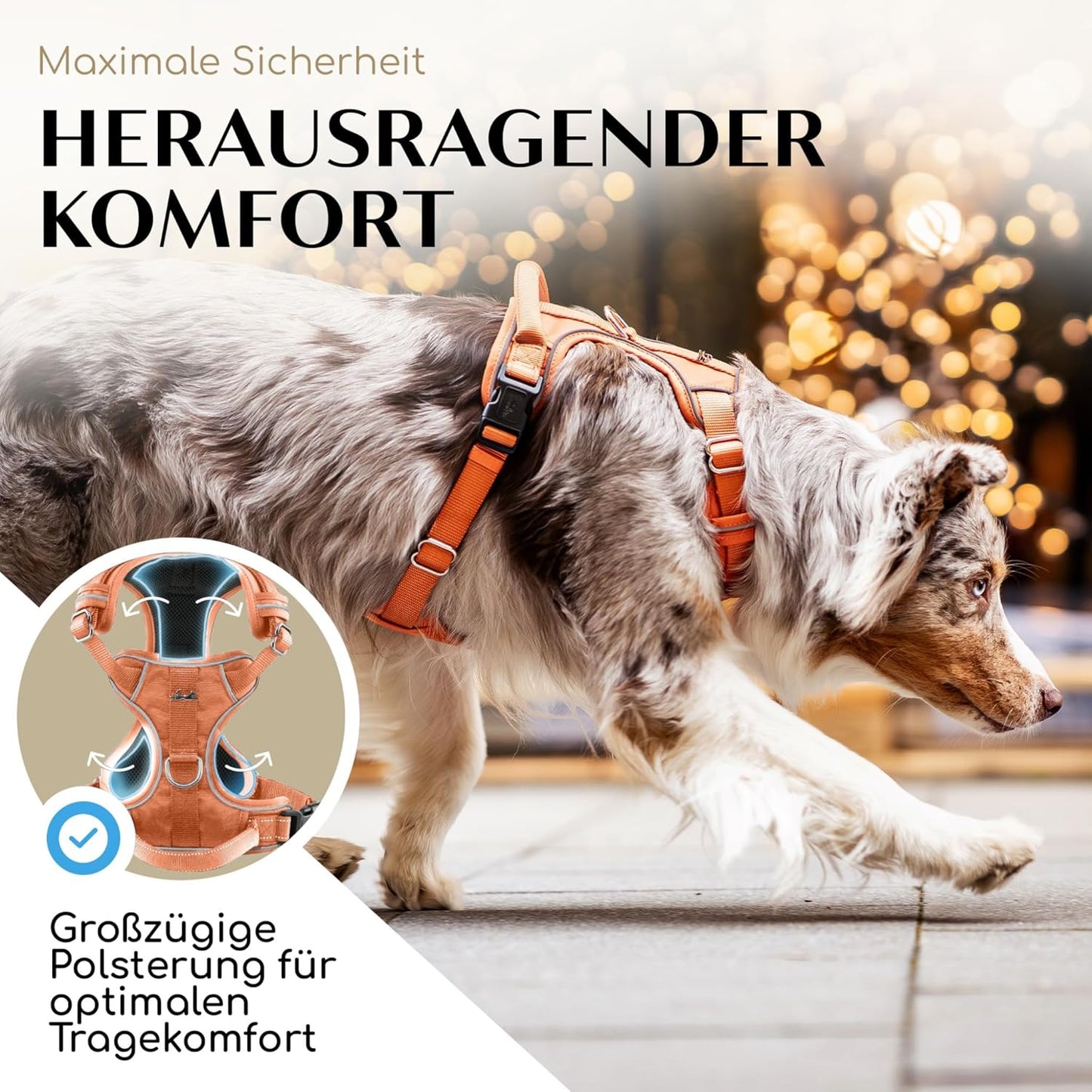 Hundegeschirr mit Polsterung, M Orange