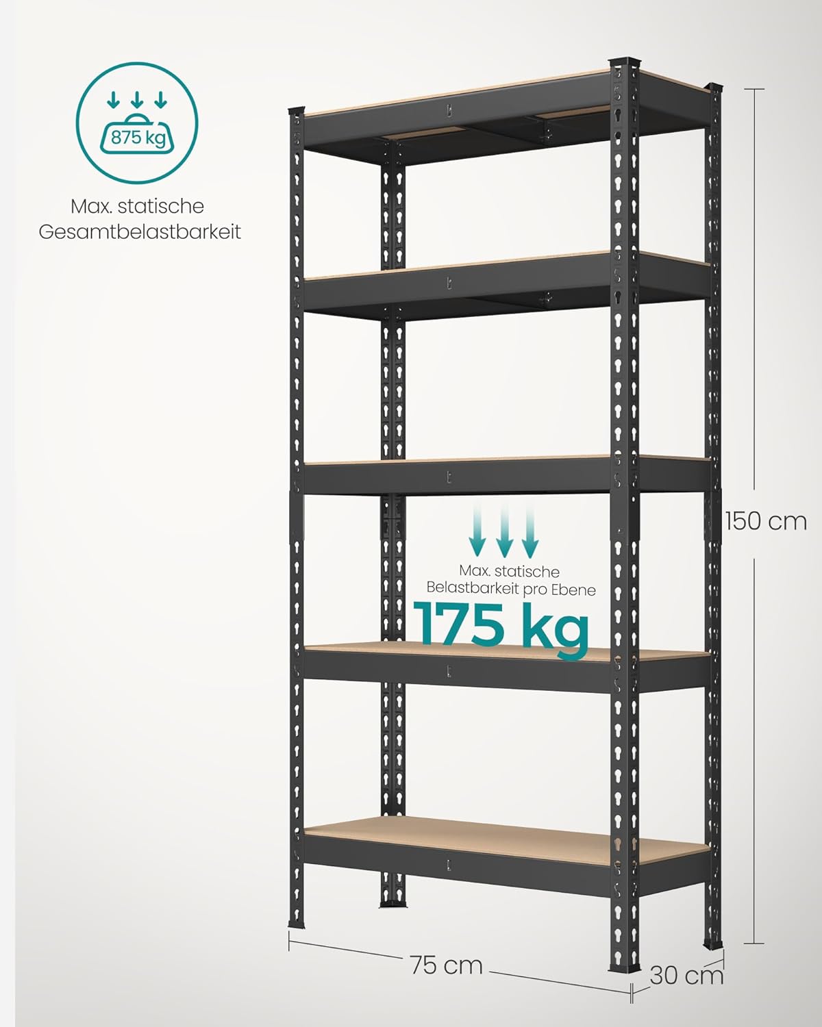 Schwerlastregal mit 5 Ablagen (875 kg Tragkraft), 30T x 75B x 150H cm Schwarz 1