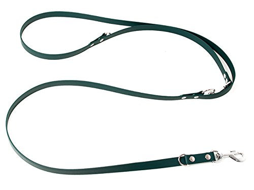 Verstellbare Hundeleine, 200cm grün