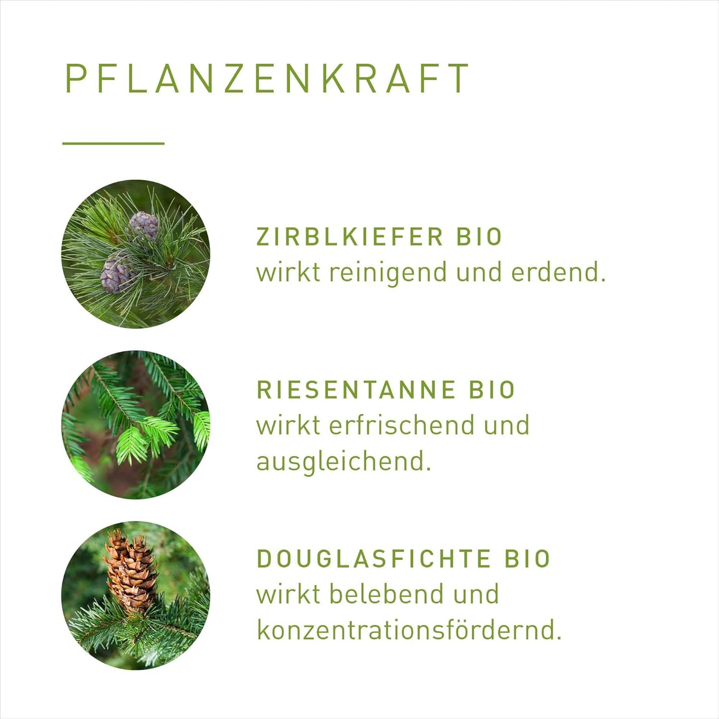 Aroma-Saunaöl Waldgefühl, Waldgefühl bio neue Flasche