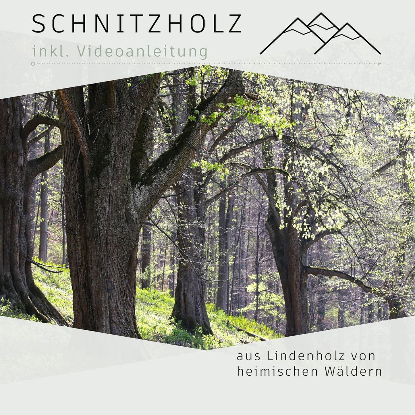 12-teiliges Schnitzholz-Rohlinge Set, Heimisches Lindenholz