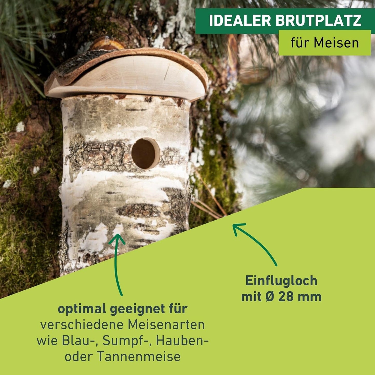 Vogelnistkasten Wildkogel