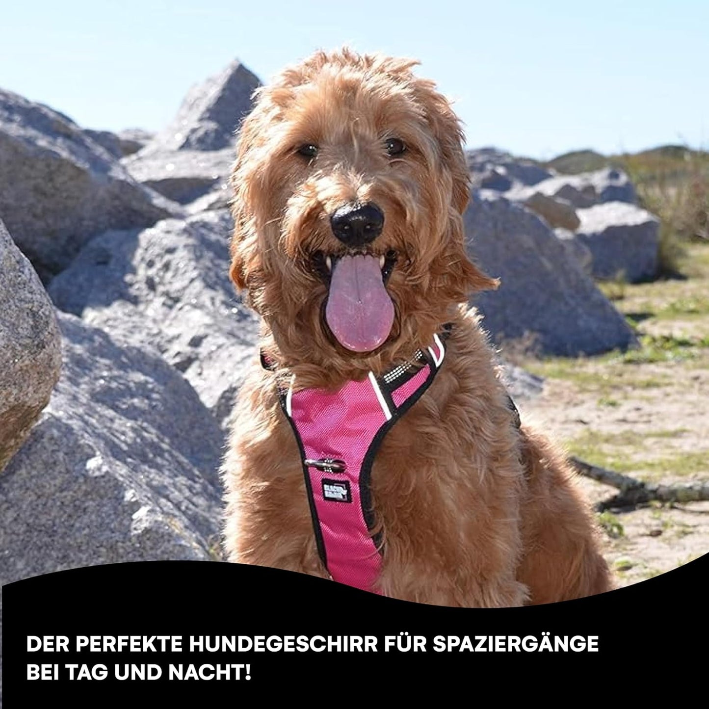 Komfort-Hundegeschirr mit Netzpolsterung, verstellbar, rosa / bl klein