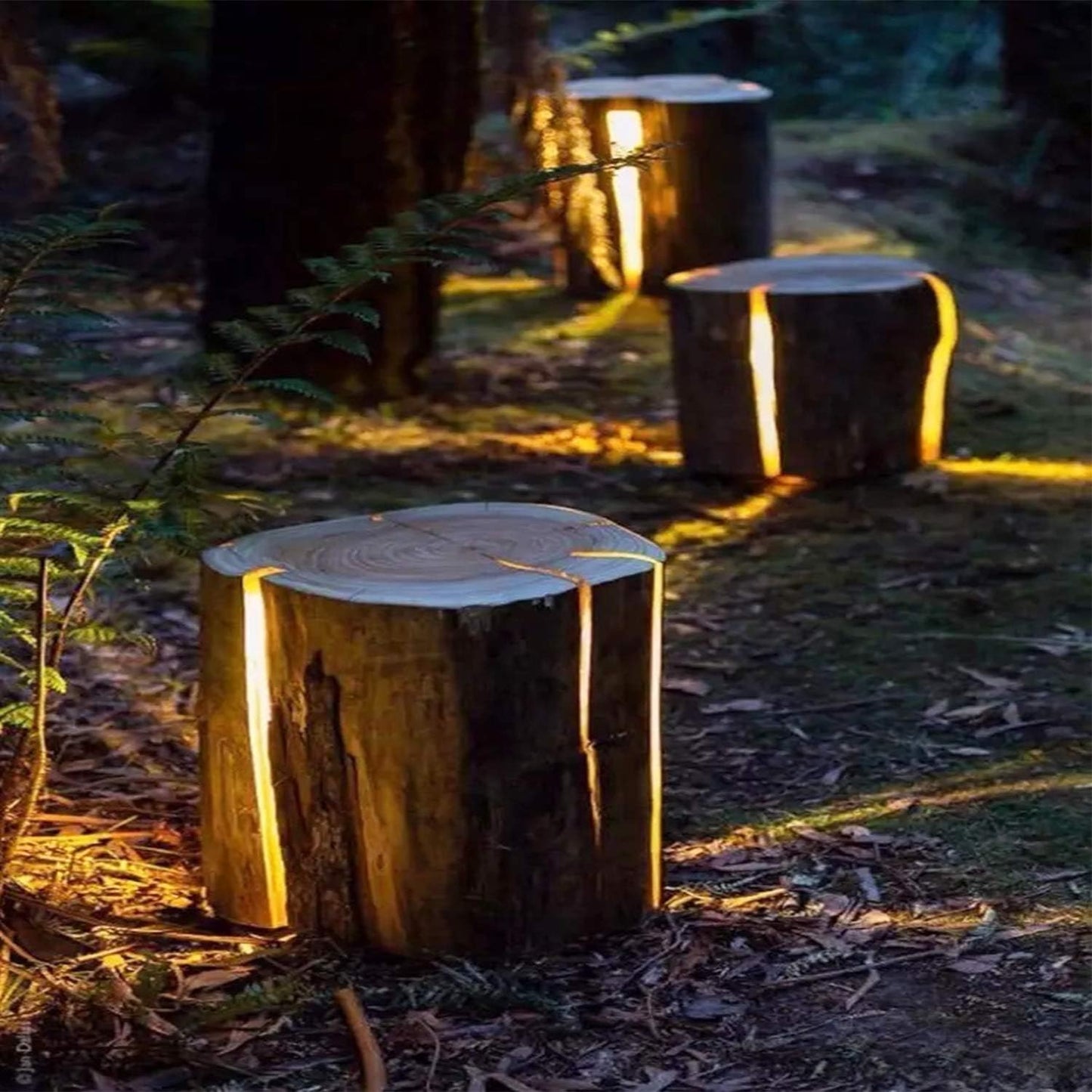 Lichterschlauch, 50M