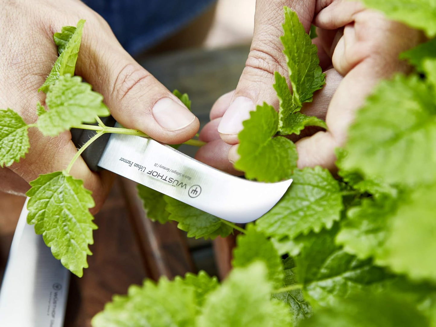 Urban Farmer Erntemesser, 8 cm Erntemesser Single