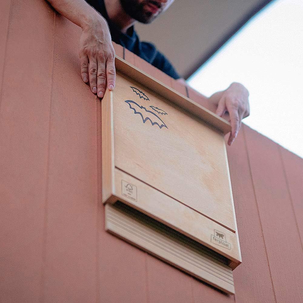 Fledermaushäuschen