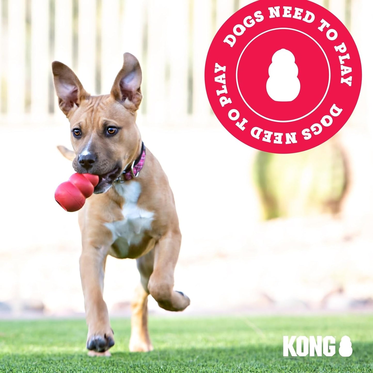 Goodie Bone, L