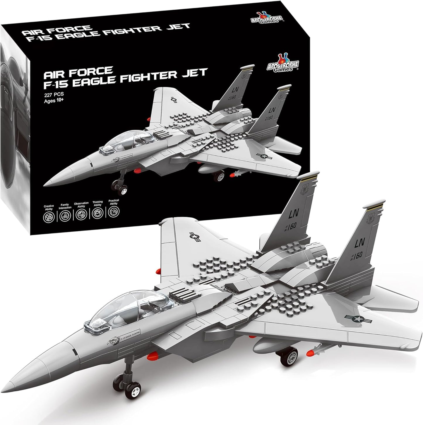 F-15 Eagle Kampfjet, F-15 Kampfflugzeug