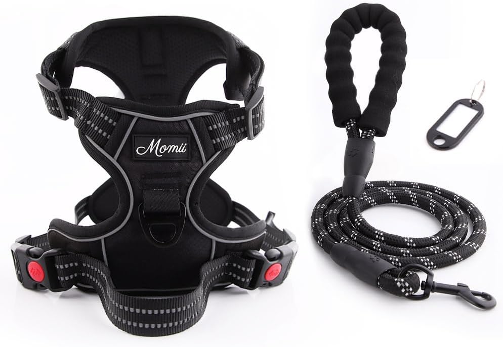 Hundegeschirr-Set inkl. Leine mit Reflexstreifen, M