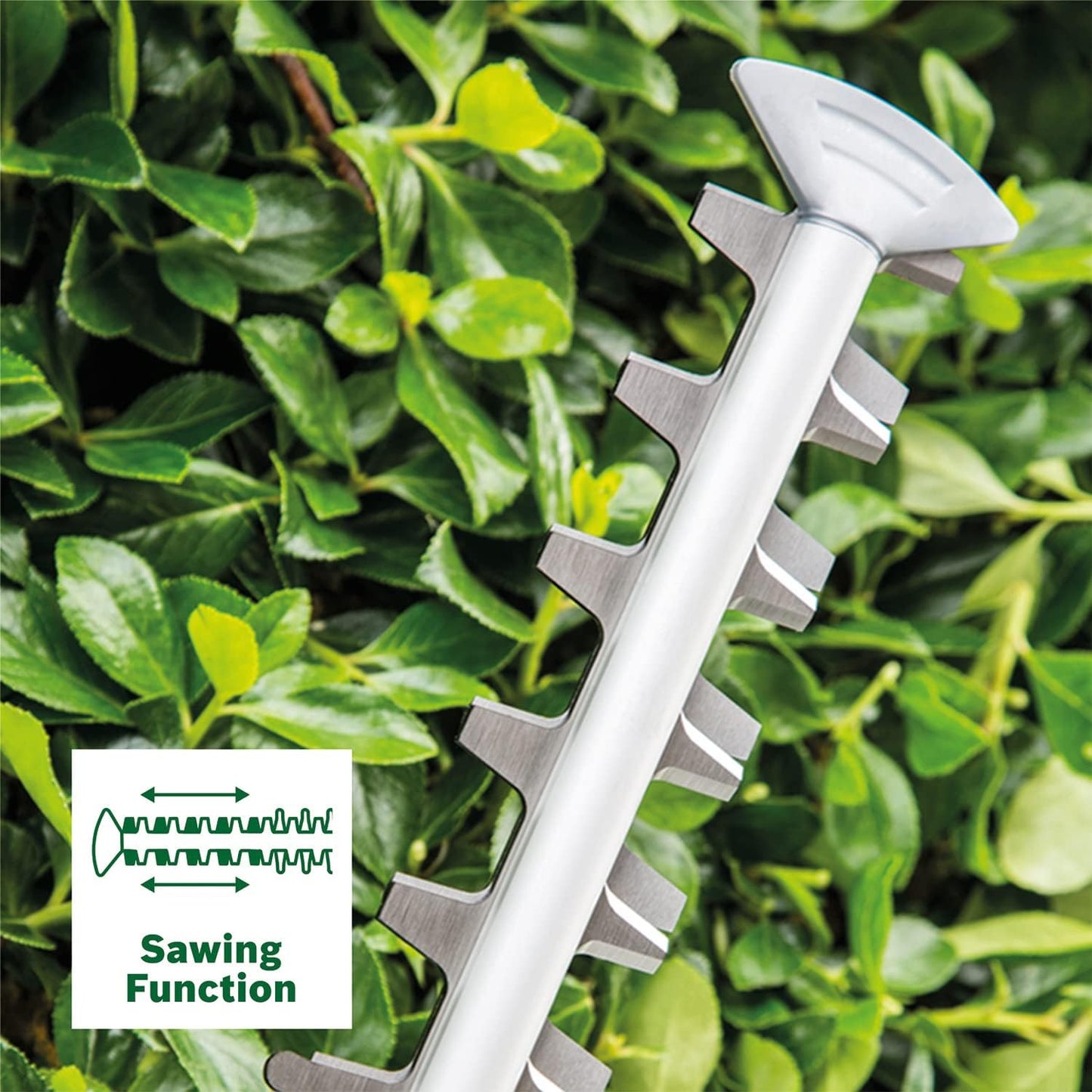 Akku-Heckenschere AdvancedHedgeCut 36V-65-28, Heckenschere | Ohne Akku, Neues Design | Classic Green