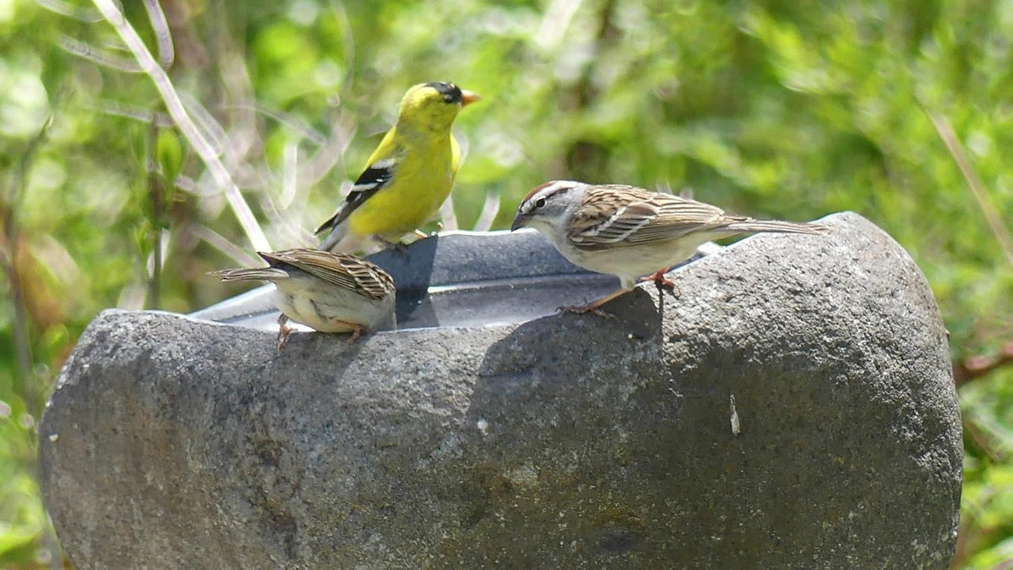 Steintrog Vogeltränke aus Naturstein (handgefertigt)