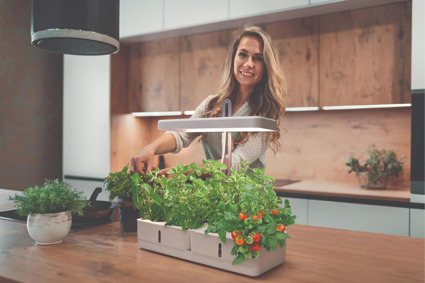 Indoor Garden Kit, Garden Kit
