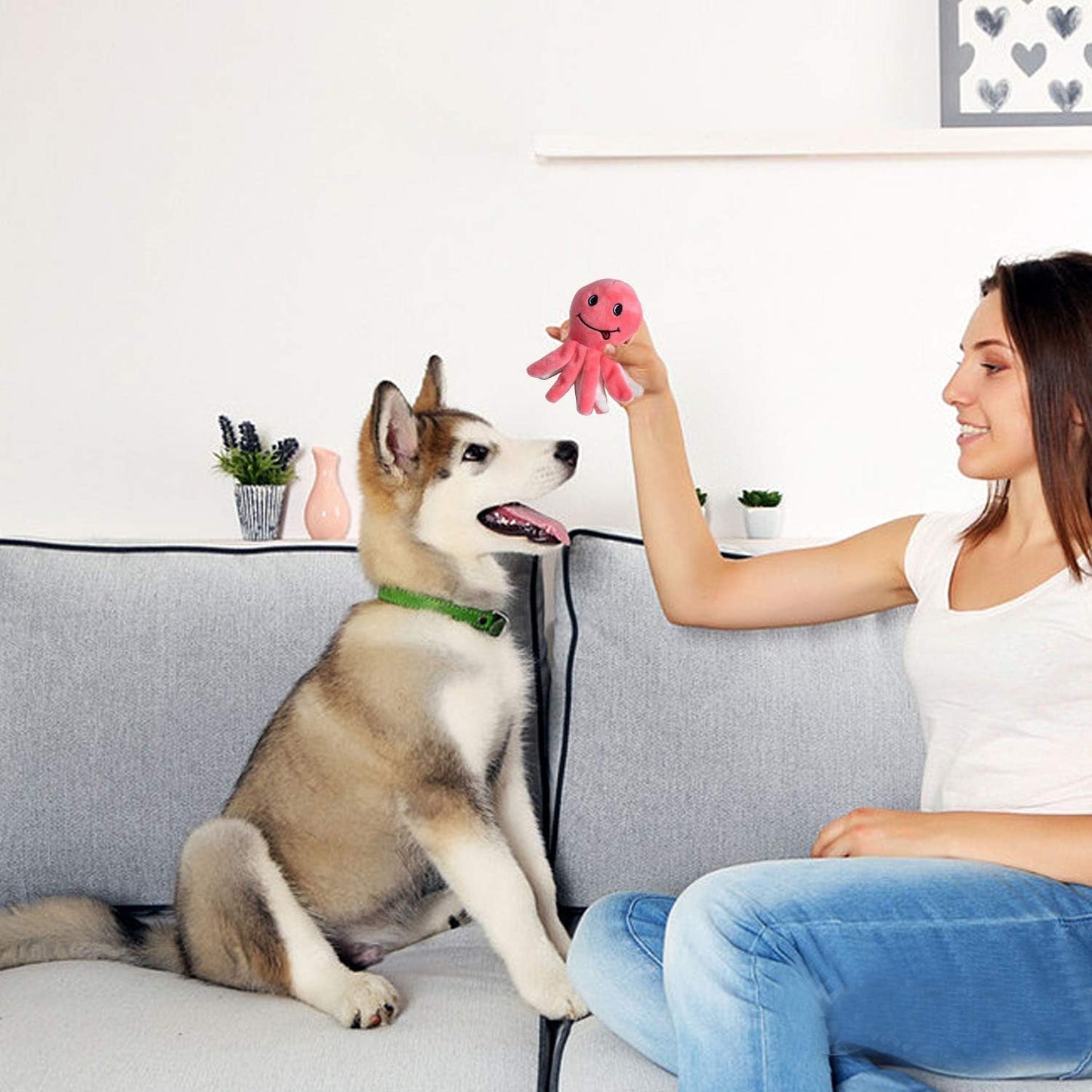 Quietschendes Plüsch-Hundespielzeug-Set, Leuchtende Farben