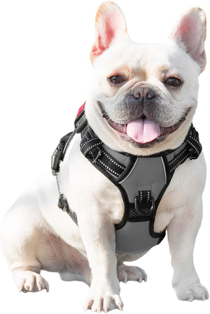 Reflektierendes Anti-Zieh-Hundegeschirr, Medium