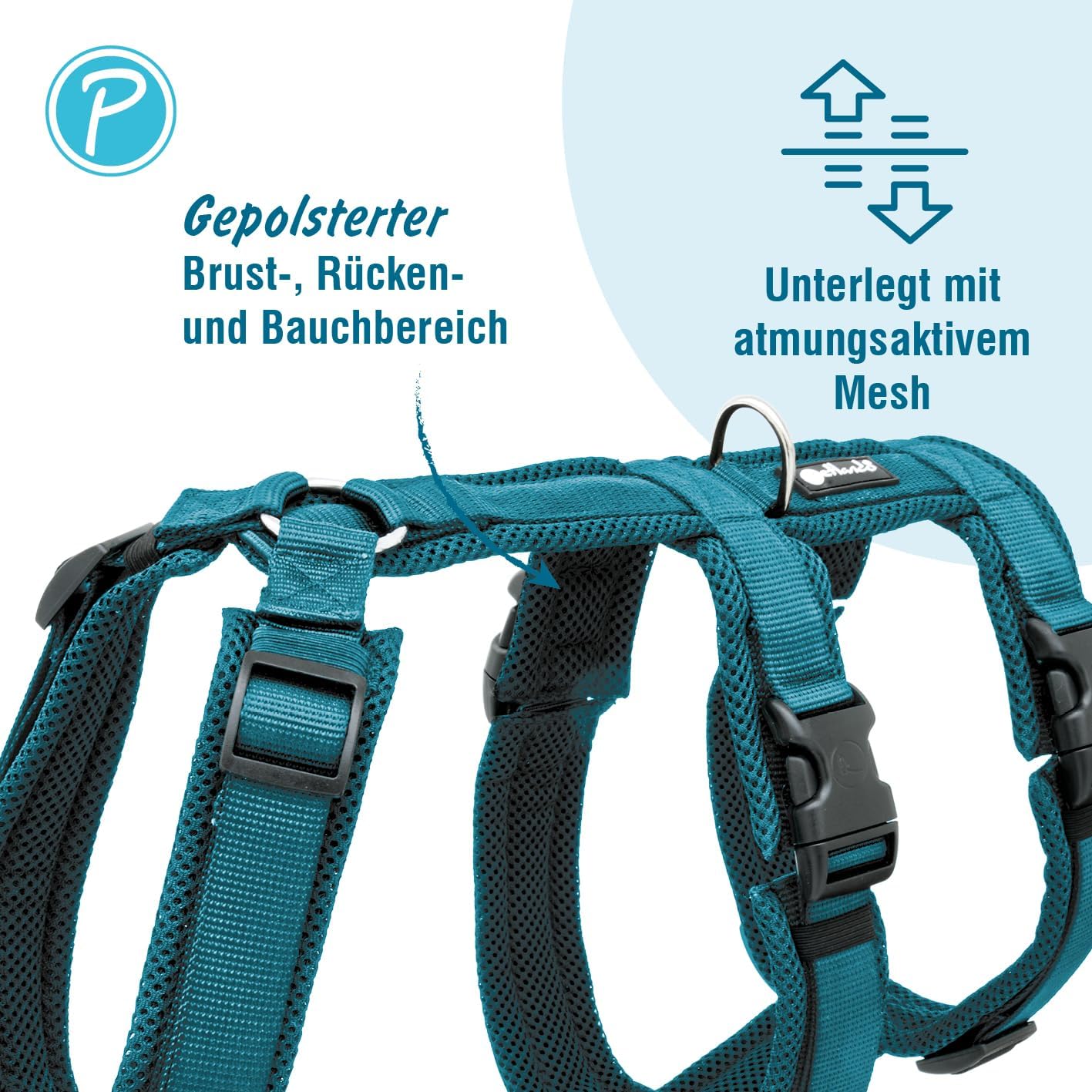 Ausbruchsicheres Sicherheitsgeschirr, Petrol XL
