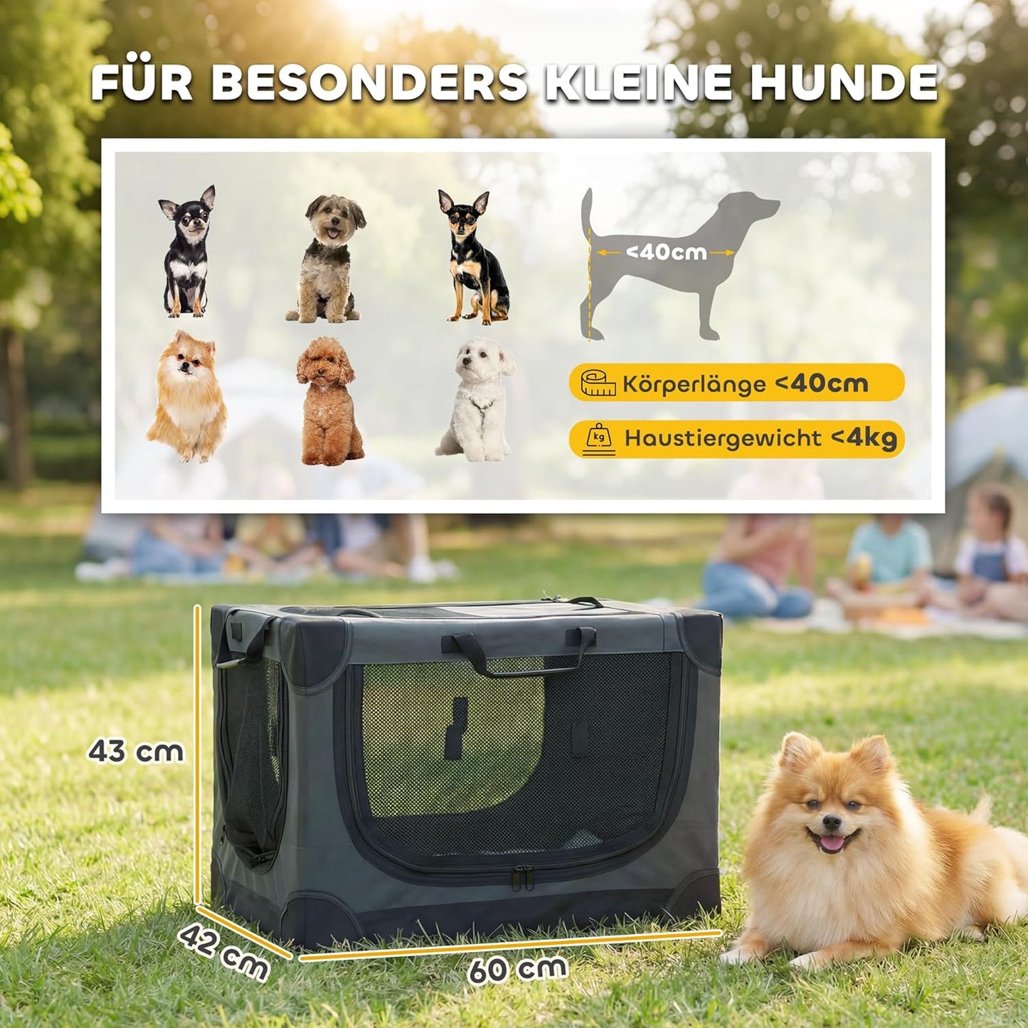 Faltbare Hundetransportbox mit Kissen, L 60 x B 42 x H 43 cm