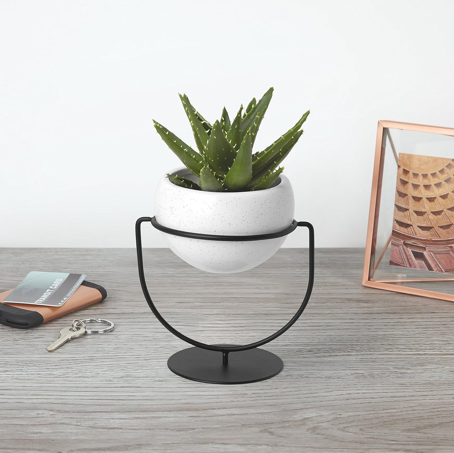 Pflanzenhalter zum Hängen oder Stellen, Single Vase