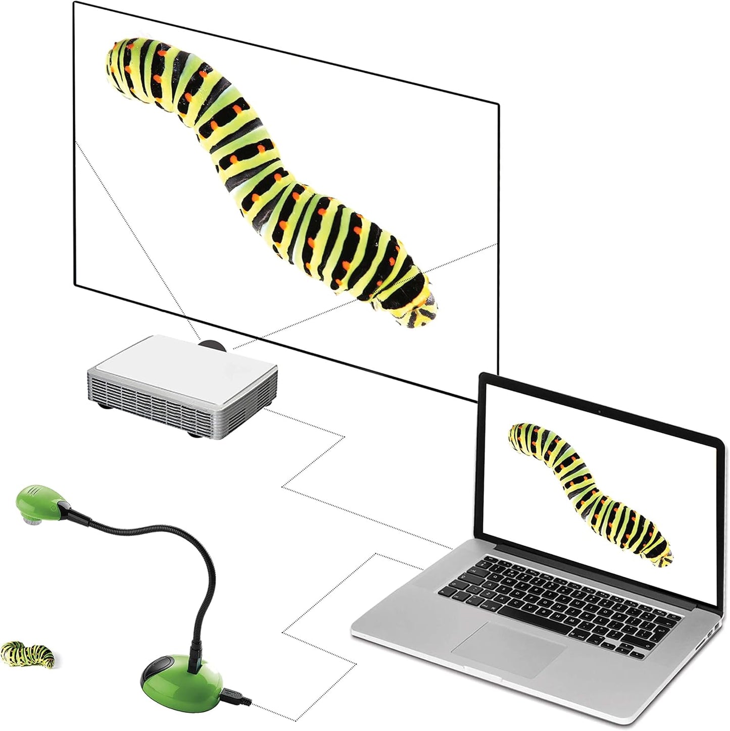 Mobile USB Kamera und Visualizer mit Tragetasche, Kamera in Grün mit Tragetasche