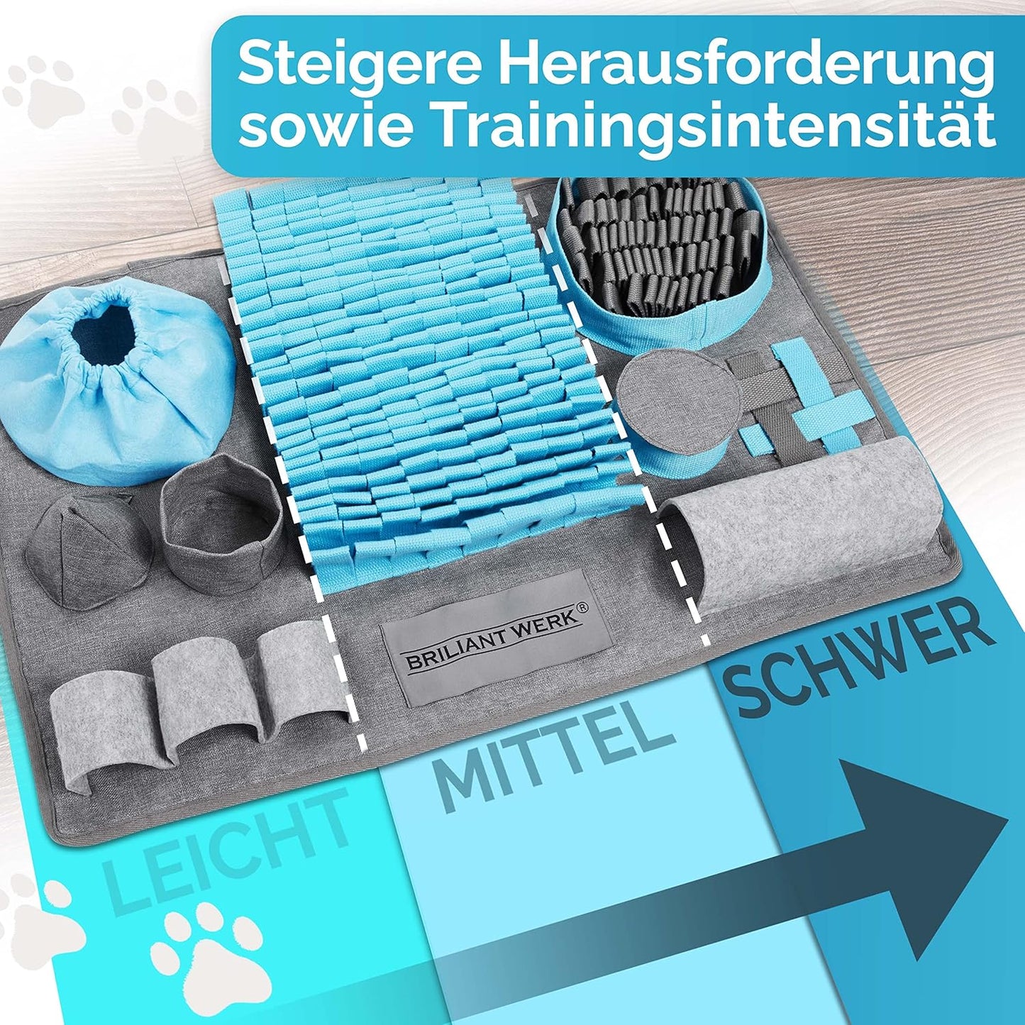 Schnüffelteppich mit 10 Trainingselementen und 3 Schwierigkeitsstufen, gross Blau