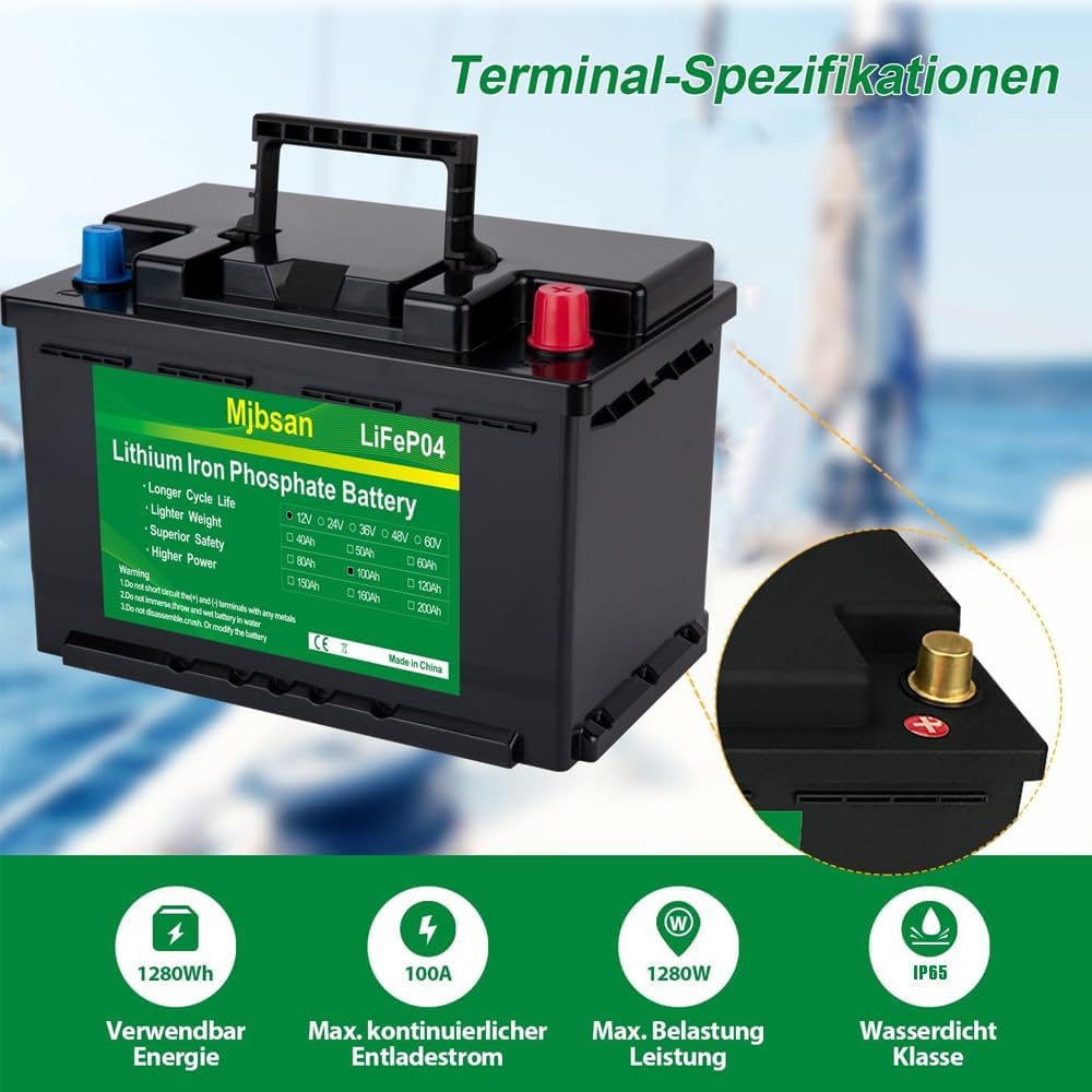 Lifepo4 Lithium Batterie 12V 100Ah
