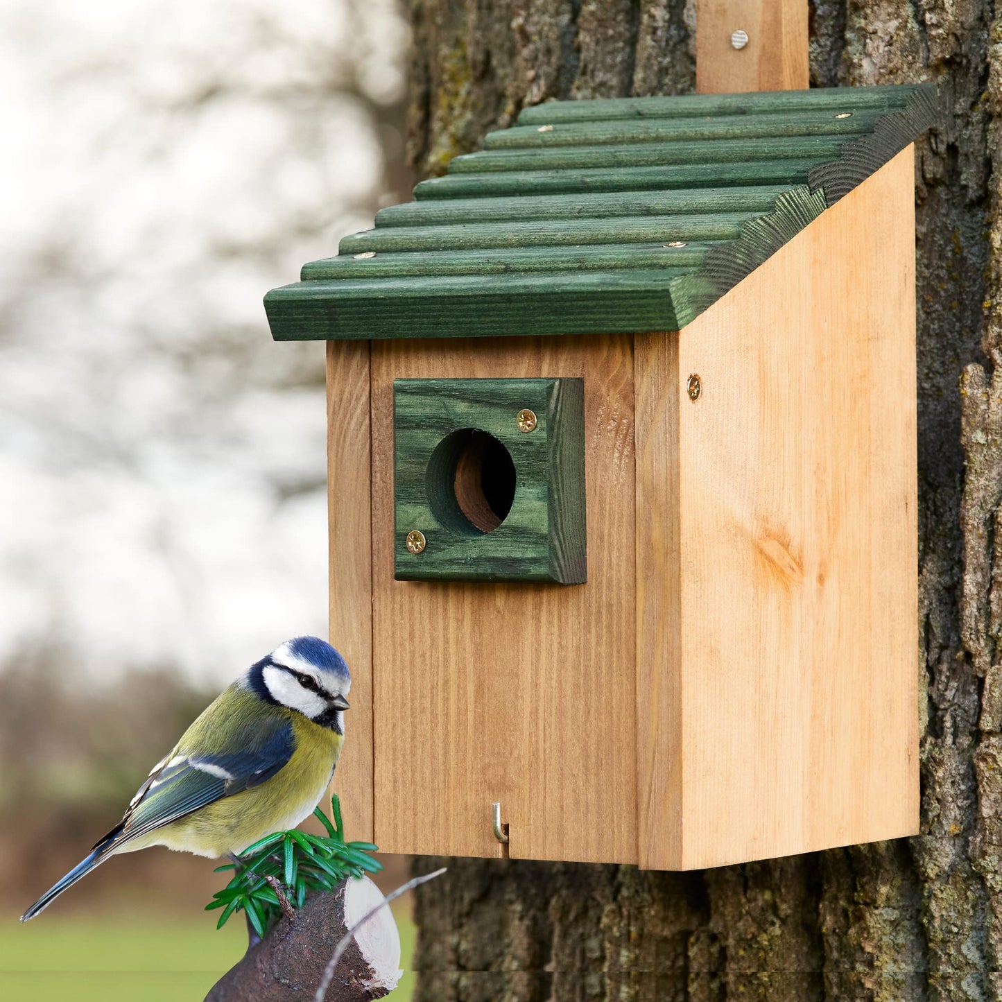 Nistkasten für Wildvögel, Nistkasten Grün