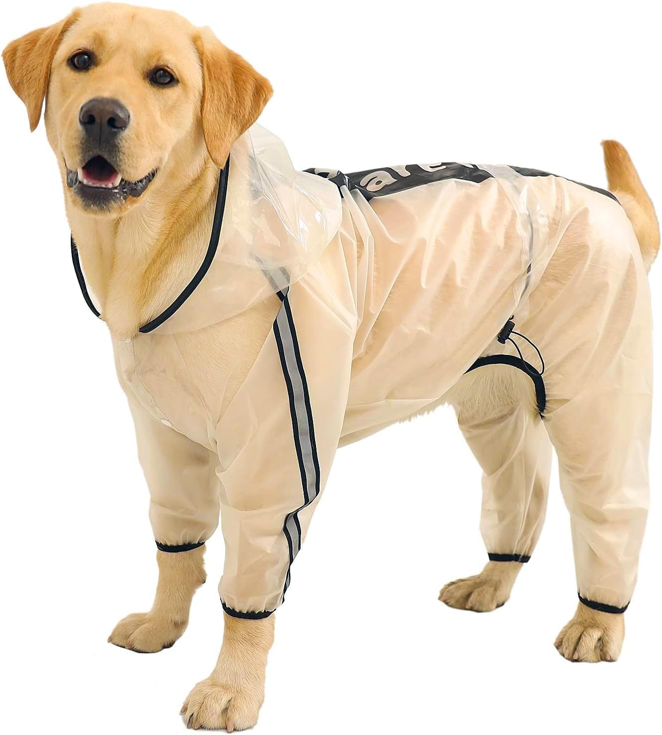 Hunde Regenjacke mit Kapuze, 4 Beine, wasserdicht, reflektierend, 2XL, Durchsichtig