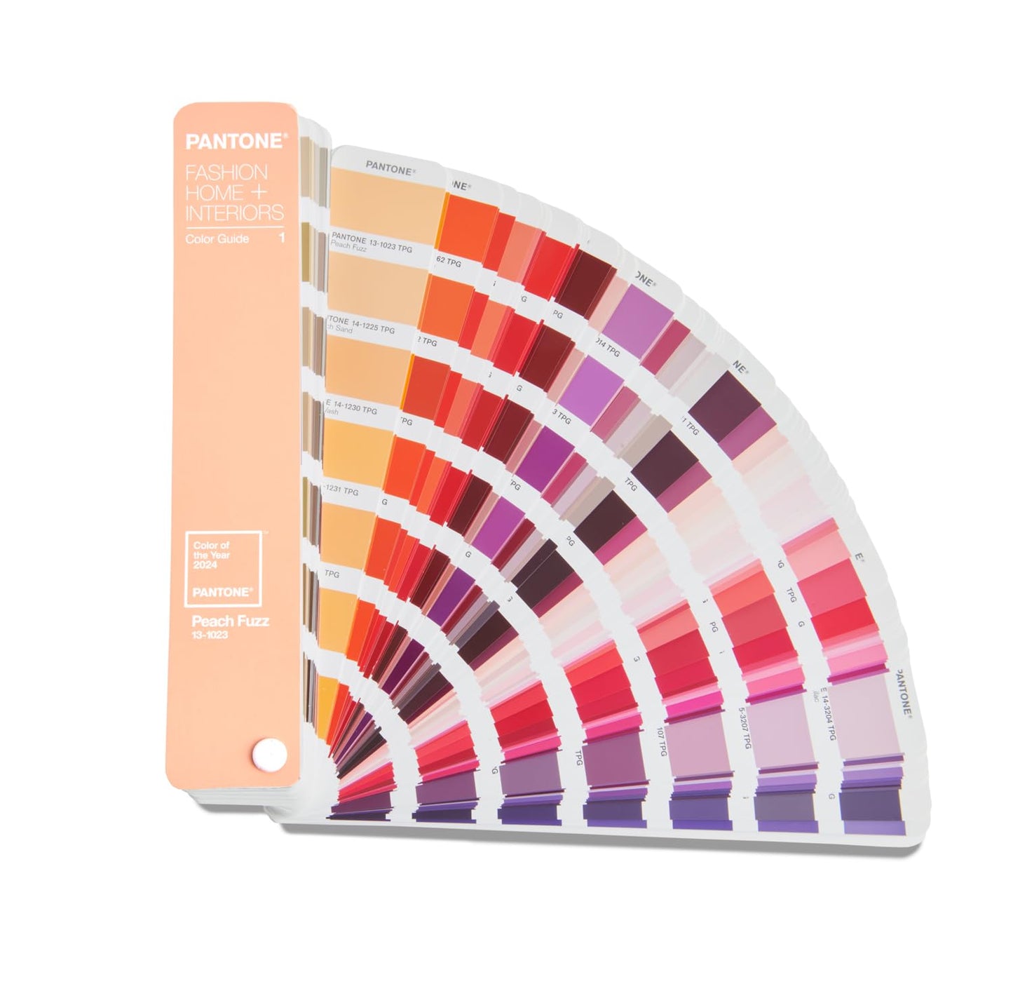 FHI Color Guide mit Jahresfarbauswahl 2024