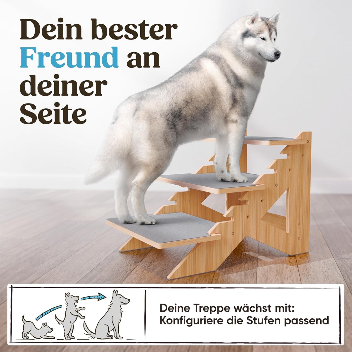 Verstellbare Haustiertreppe, Flexibel