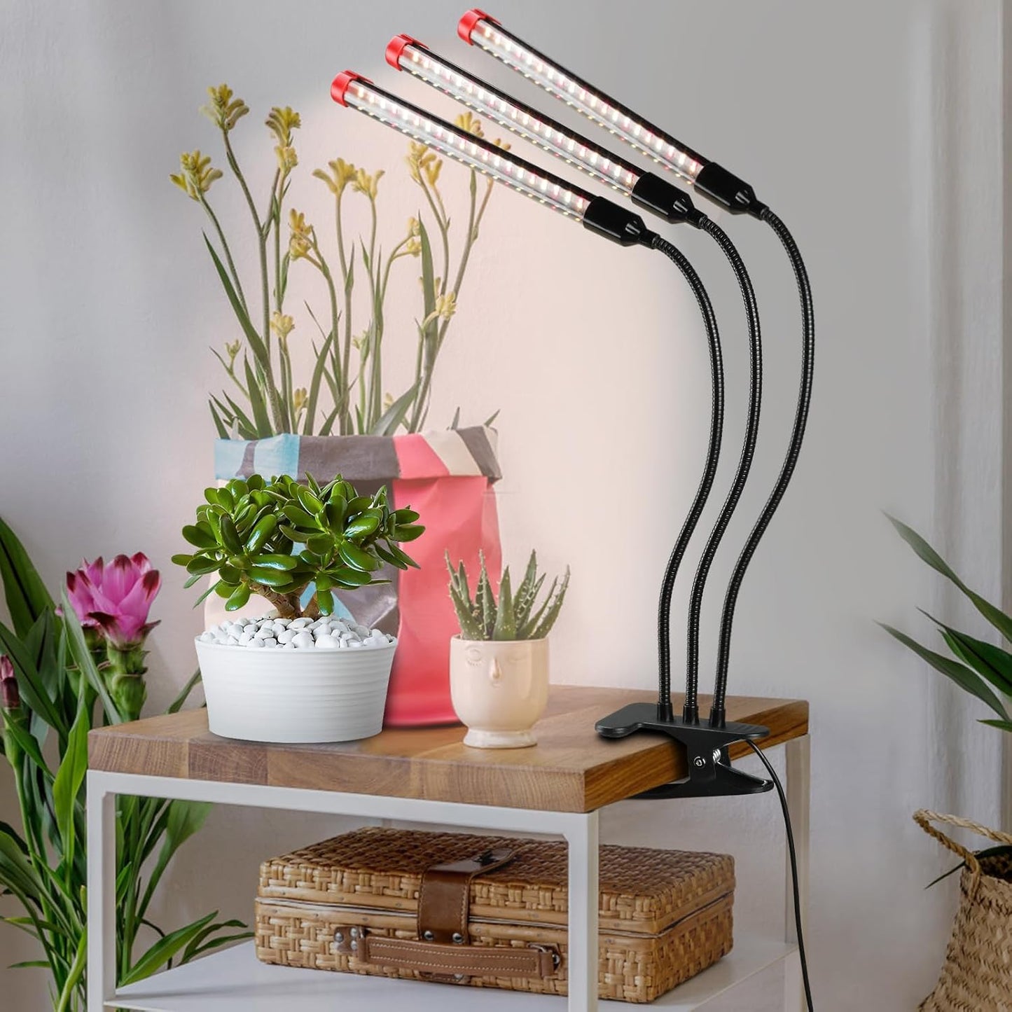 Clip Wachstumslampe mit Zeitschaltuhr, Clip-27W-3000Lm