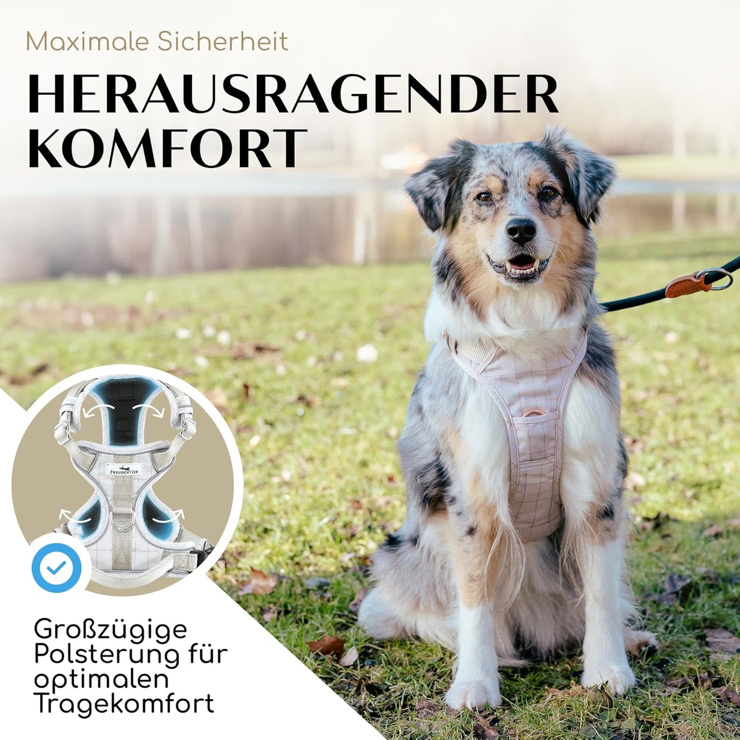 Hundegeschirr mit Griff, M