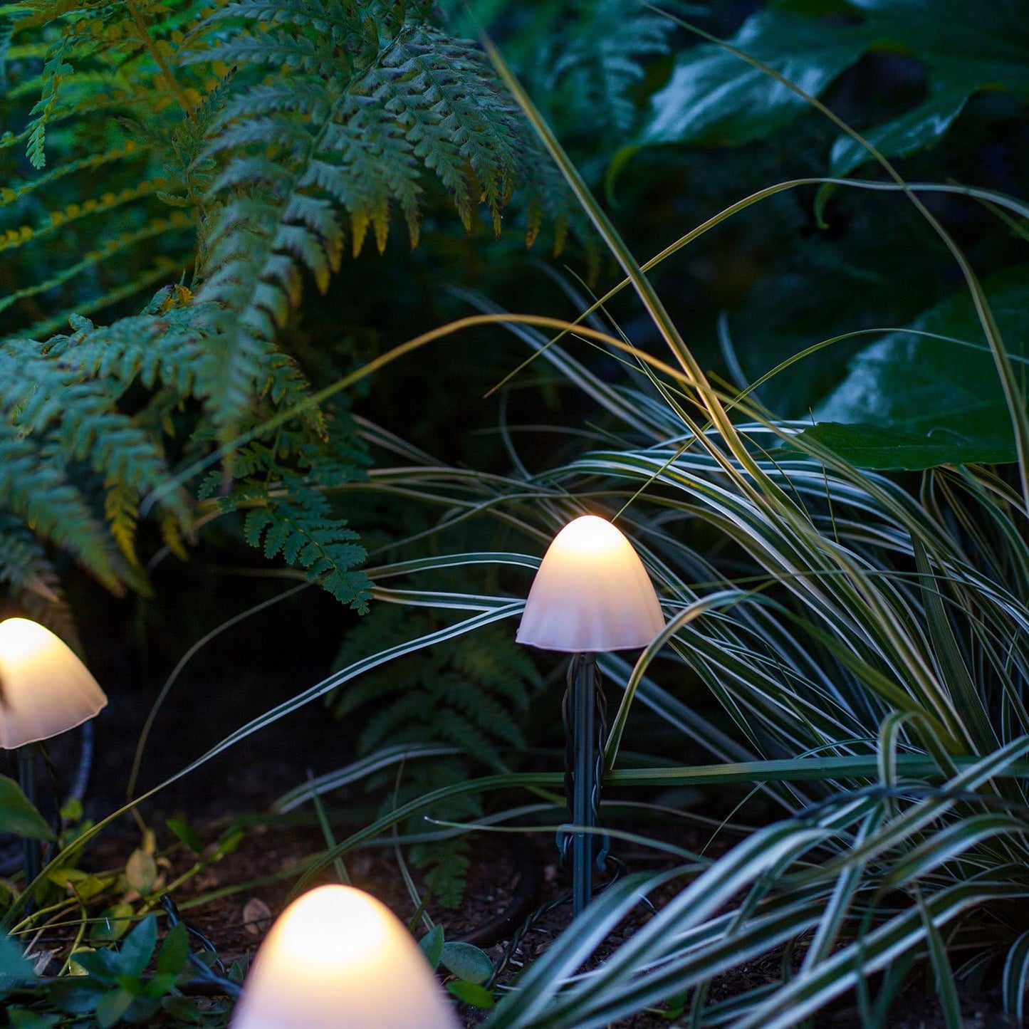 Pilz-Lichterkette