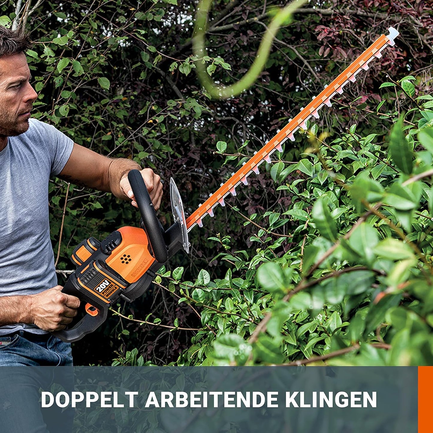 Akku-Heckenschere WG284E.9, 60cm Schwertlänge ohne Akku & Ladegerät