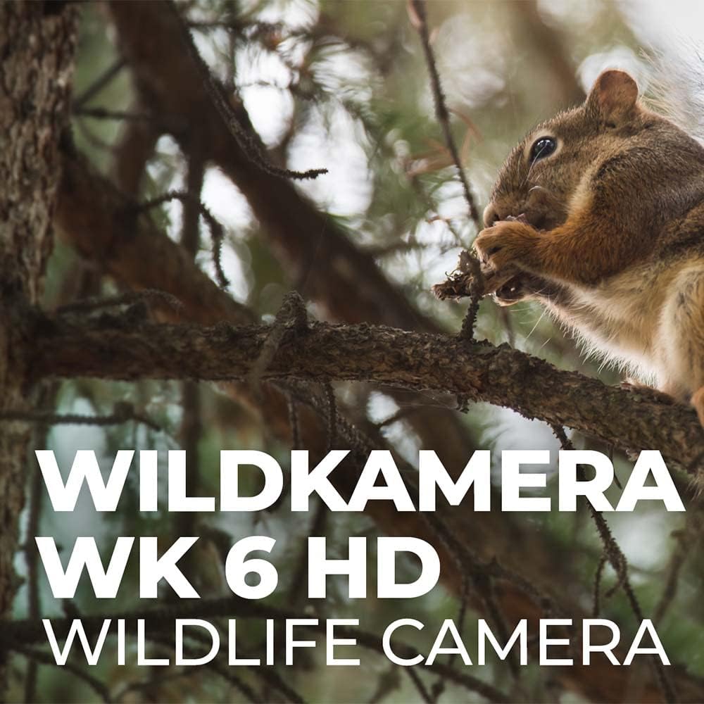 Wildkamera