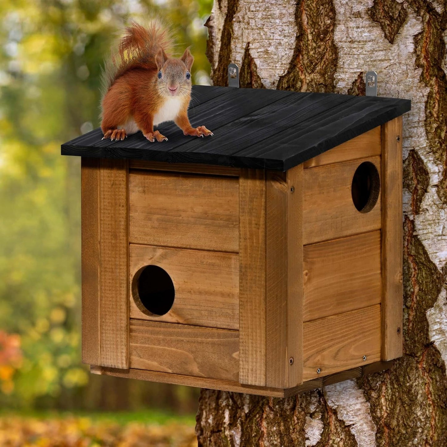Eichhörnchen-Nistkasten