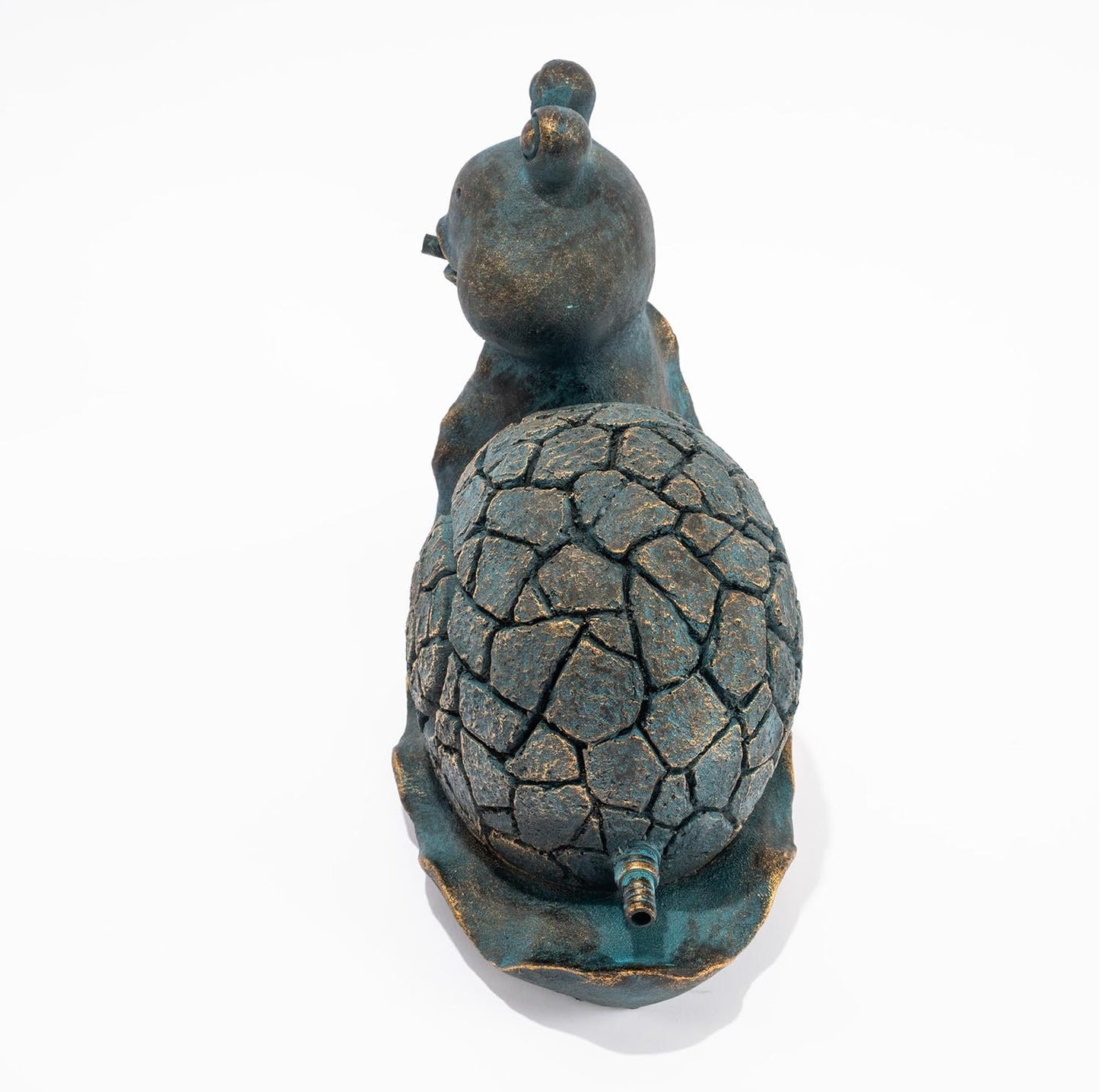 Wasserspeier-Schnecke Emilius