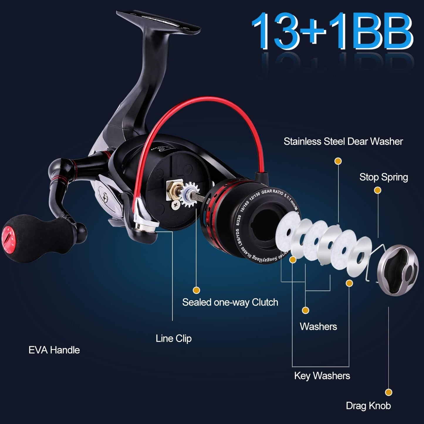 Spinnrolle DL 1000, 1000 / Fierce Dl-13+1bb