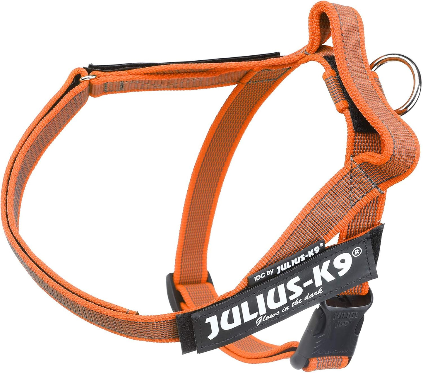 Color & Gray - Beltgeschirr für Hunde, S / Mini orange-grau