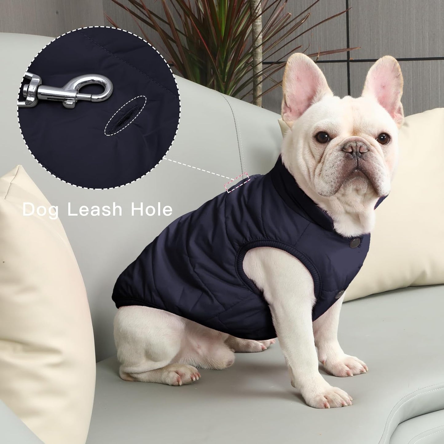 Hundejacke für Winter, 2-lagiges Fleece, Winddicht, X-Small (Pack of 1) Blau