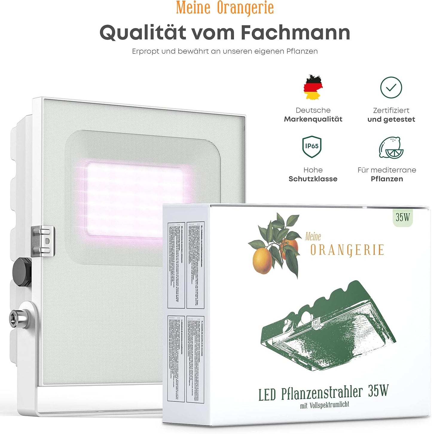 Pflanzenlicht