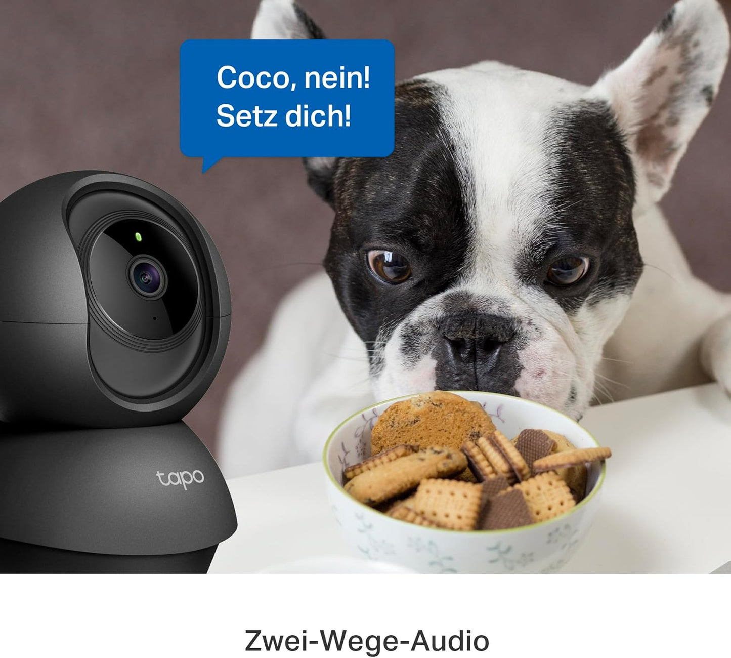 TP-Link C211 Überwachungskamera mit Nachtsicht, 1-pack(Schwarz)