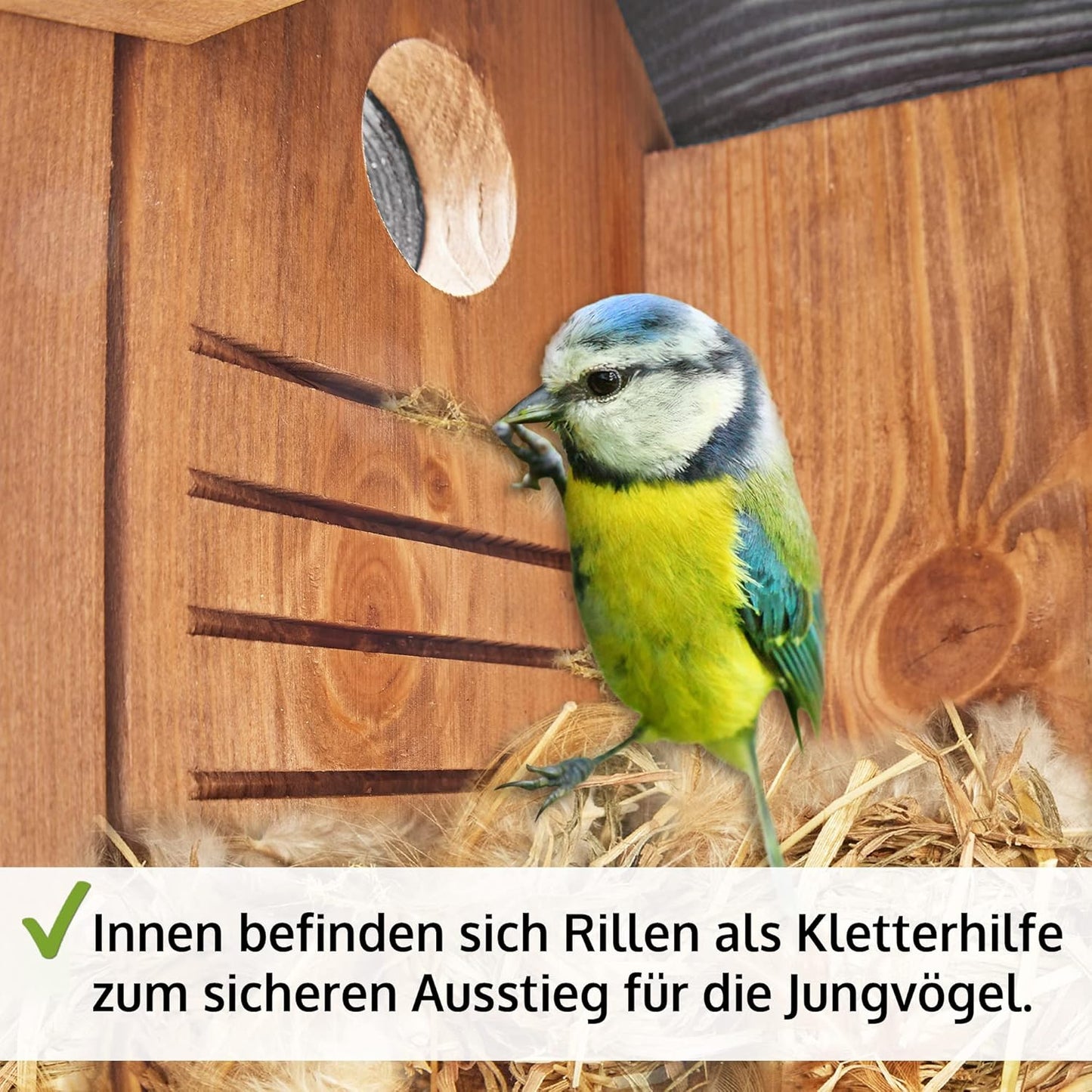 Nistkasten, Nistkasten Braun