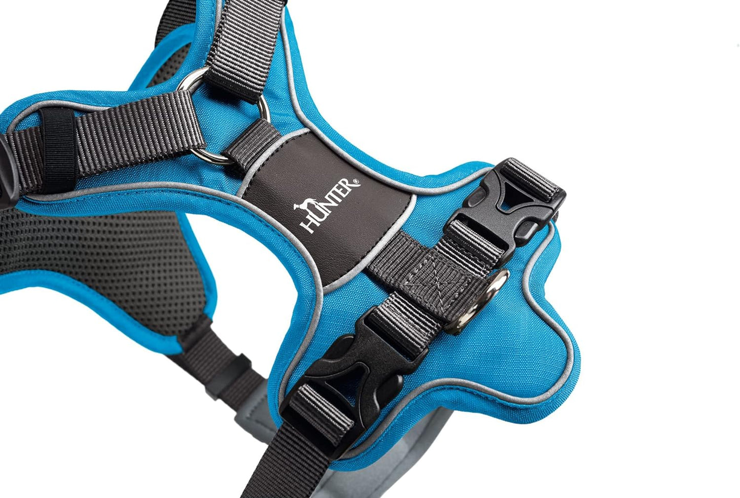 Geschirr Divo, 56 - 73 cm, hellblau/grau