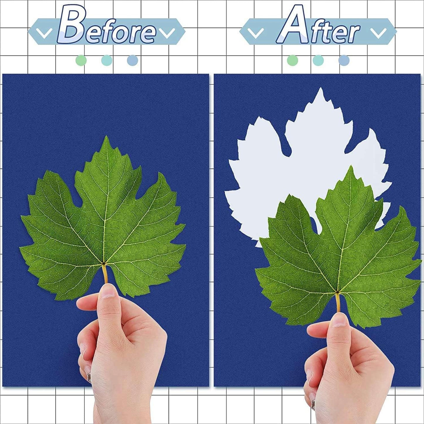 50 Blatt Solarpapier Cyanotype