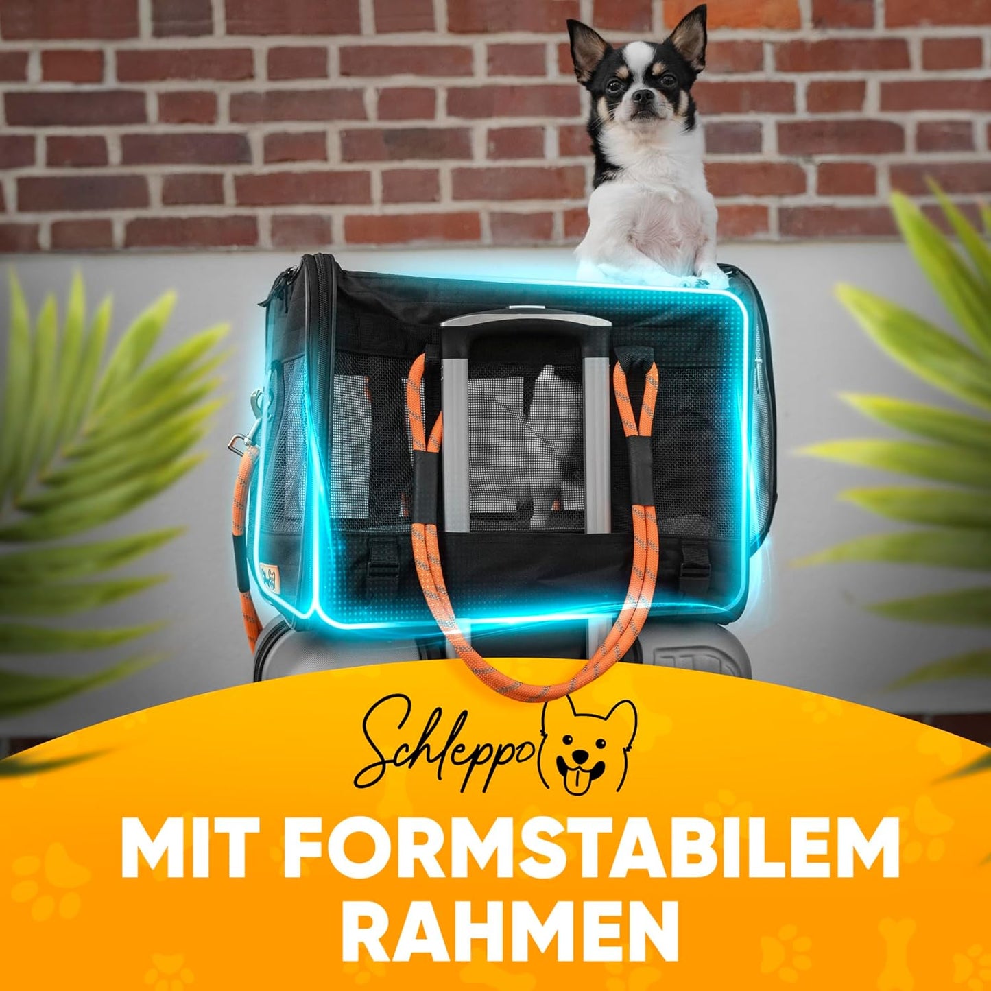 Hundetasche