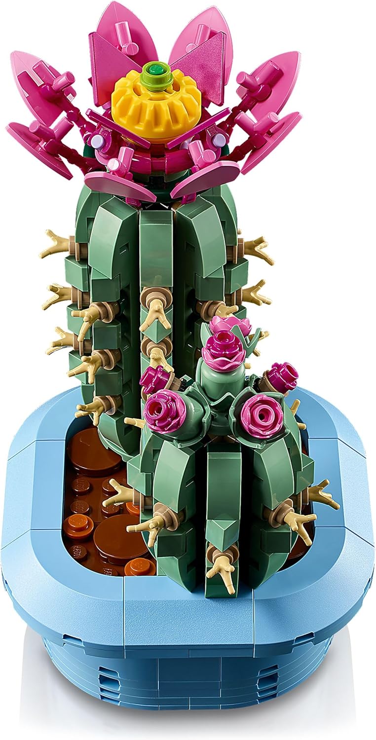 Blühender Kaktus, Flowering Cactus 11509
