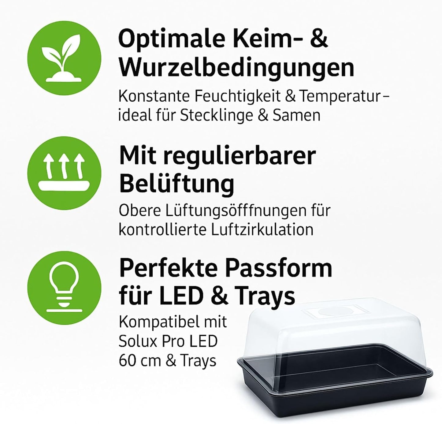Mini-Gewächshaus für Zimmerpflanzen, Klein